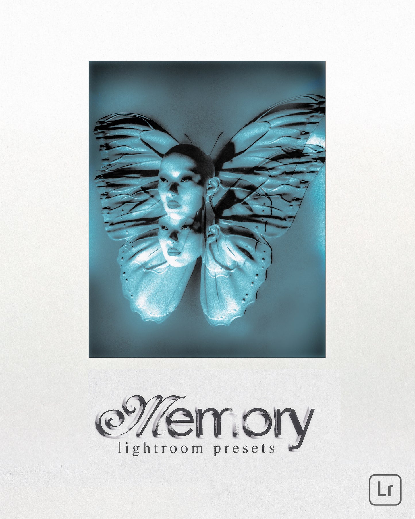 MEMORY Lightroom Presets