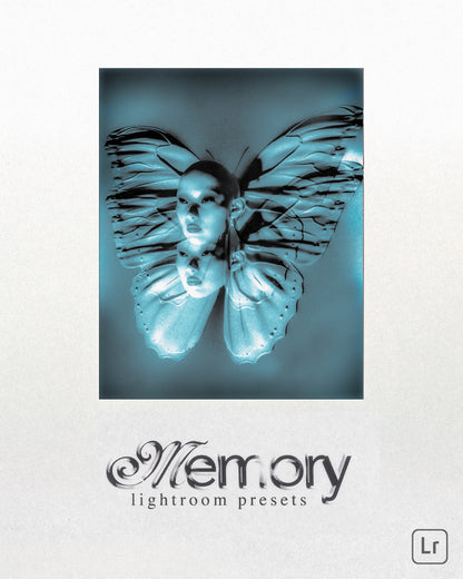 MEMORY Lightroom Presets