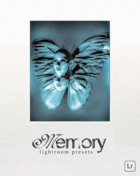MEMORY Lightroom Presets
