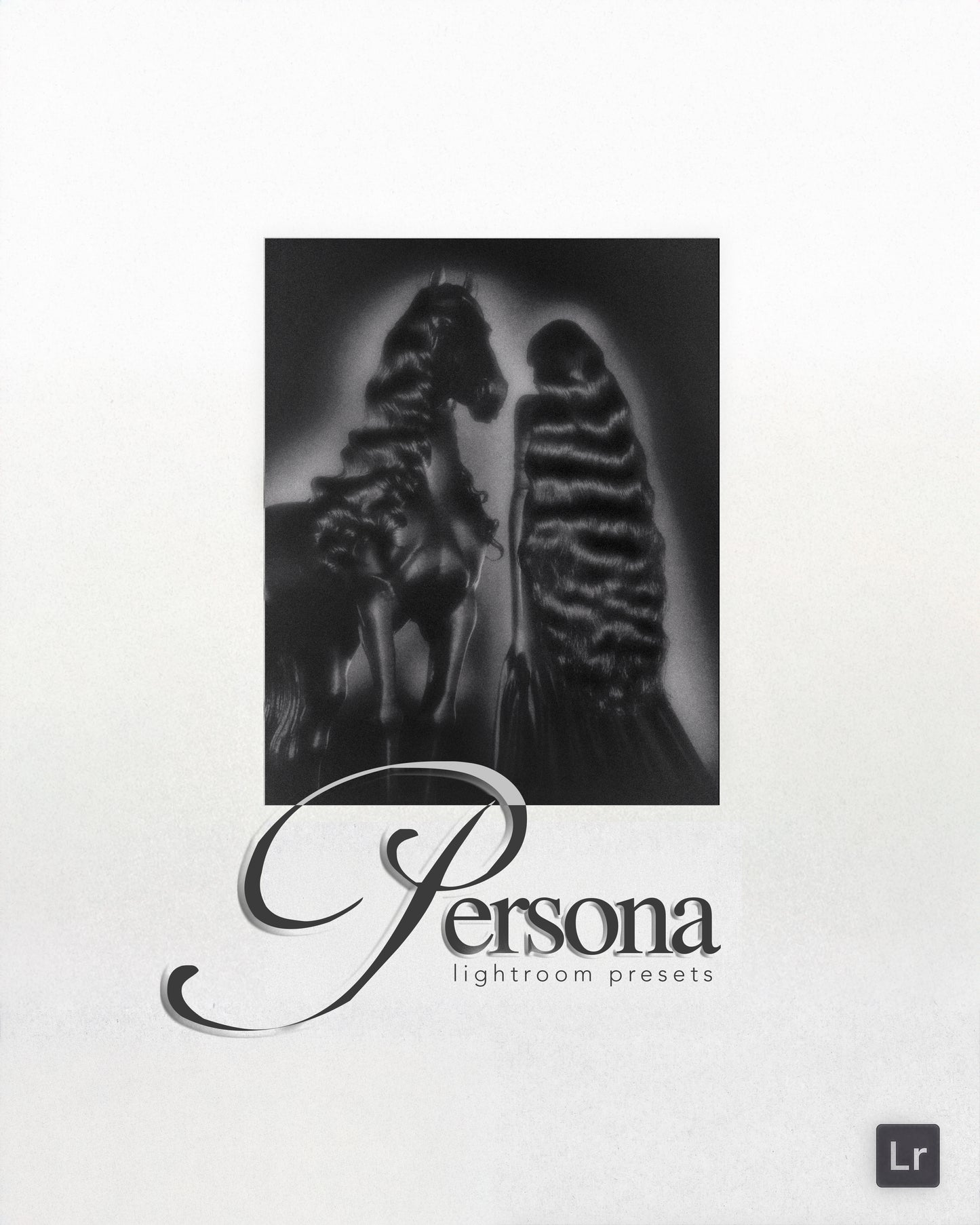 PERSONA Lightroom Presets (Mini)