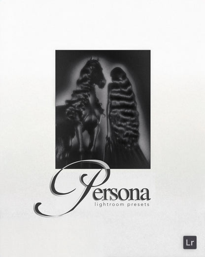 PERSONA Lightroom Presets (Mini)
