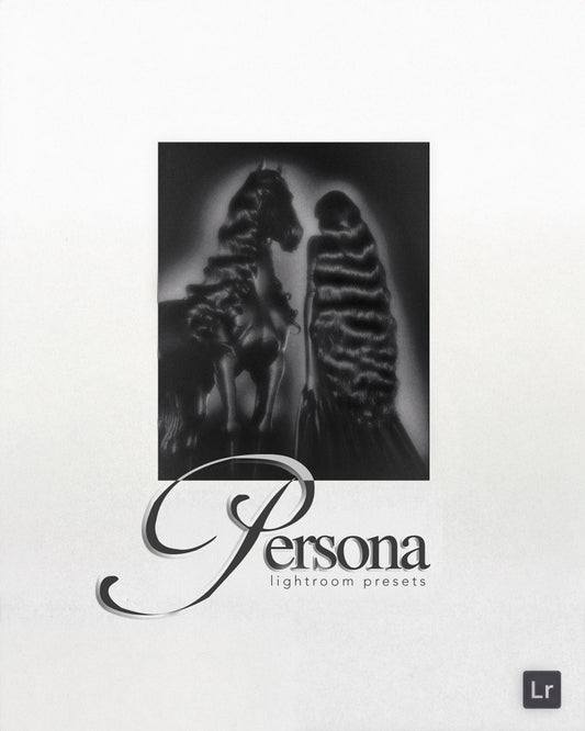 PERSONA Lightroom Presets (Mini)